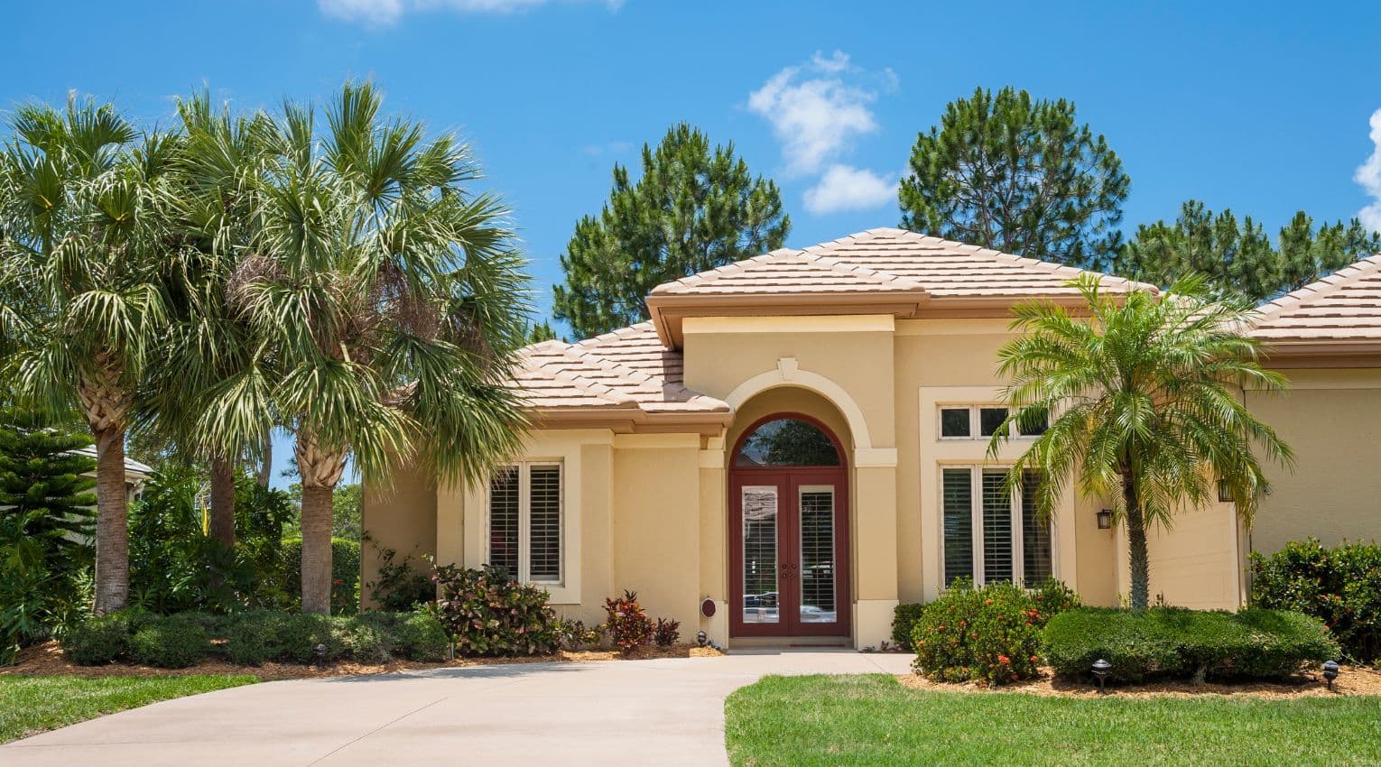 stucco home surrounded by palm trees